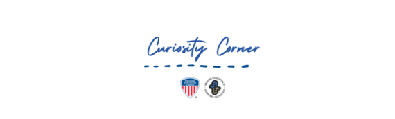Curiosity Corner – November 2022